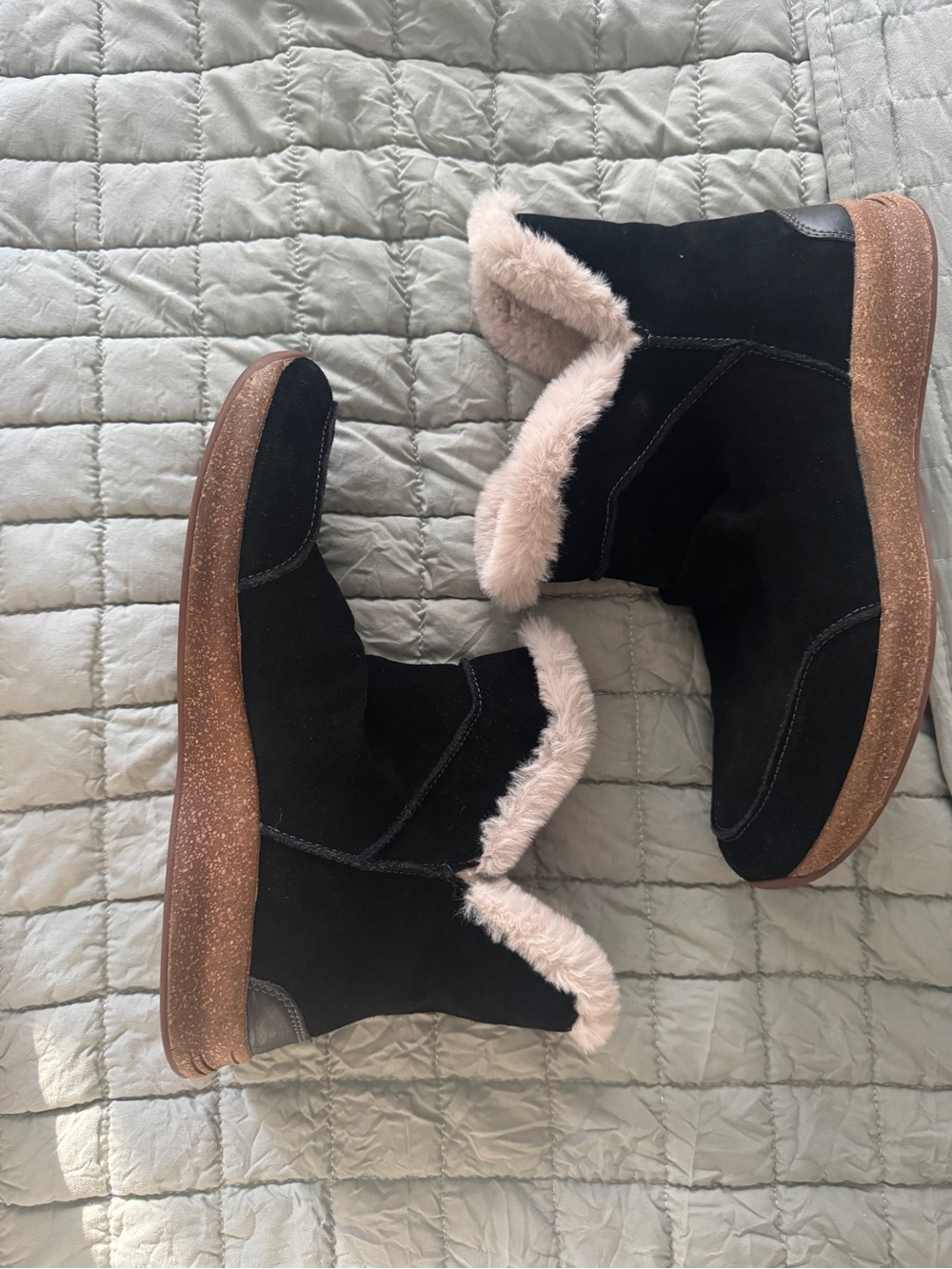 Taos Women's Black Suede Winter Ankle Boots
